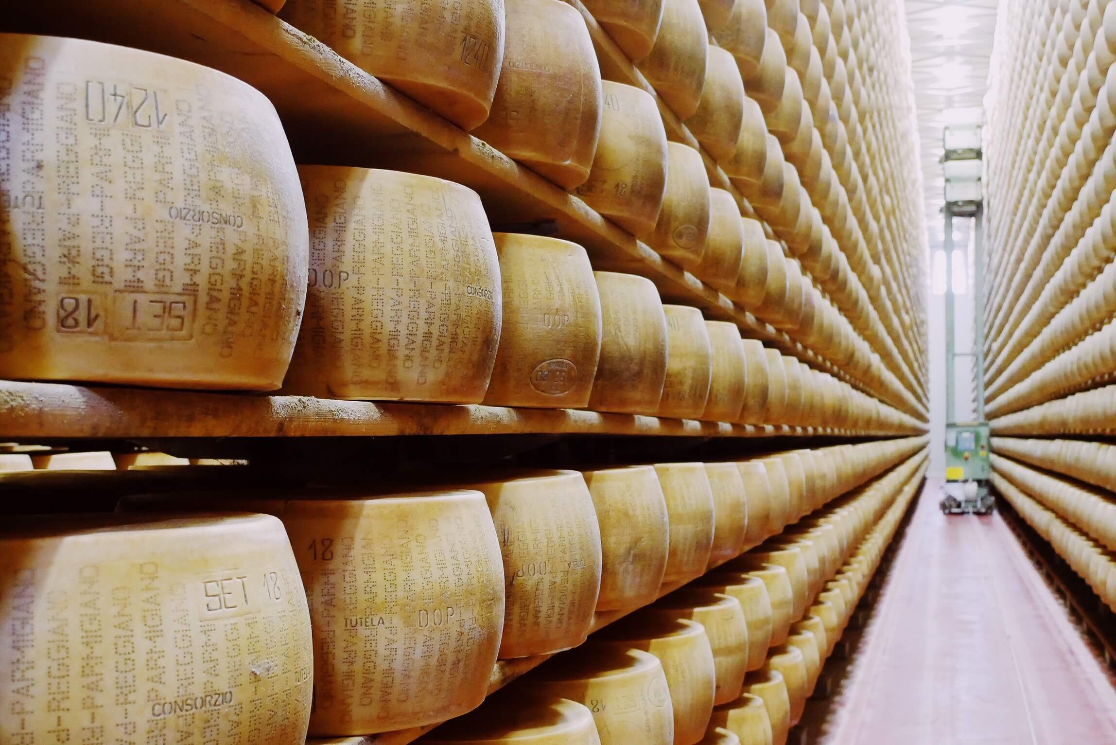 parmiggiano